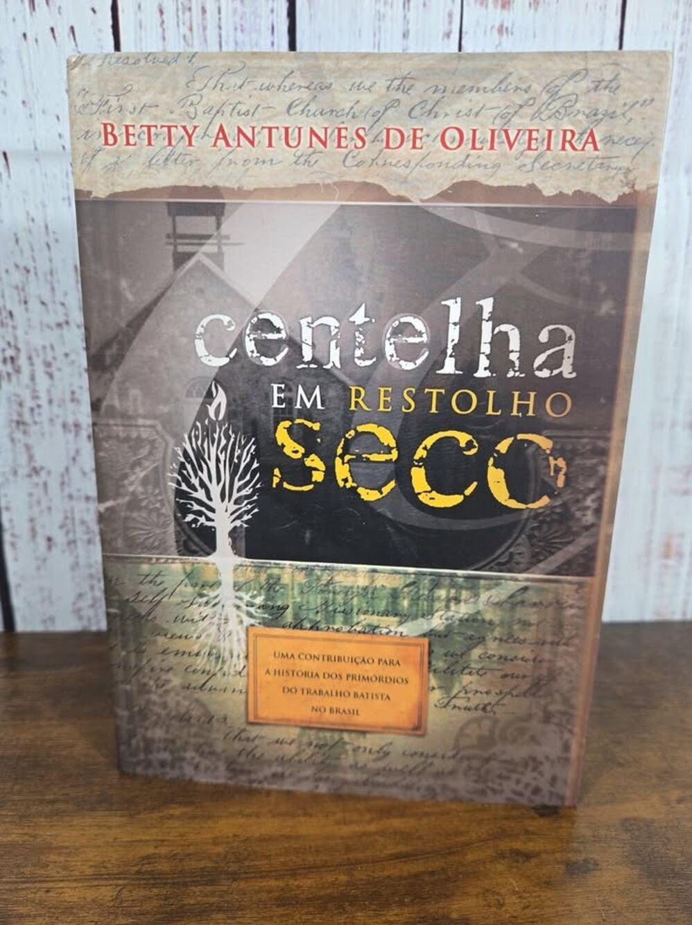 NEW Ultra Rare Centelha em Restolho Seco ny Betty Antunes de Oliveira Portuguese